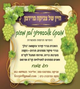 fridman2