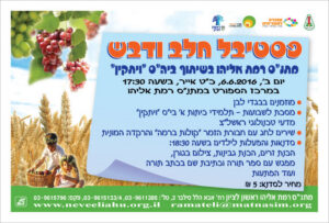pestival flayer