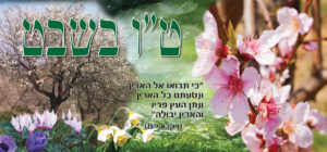 shvat77x36
